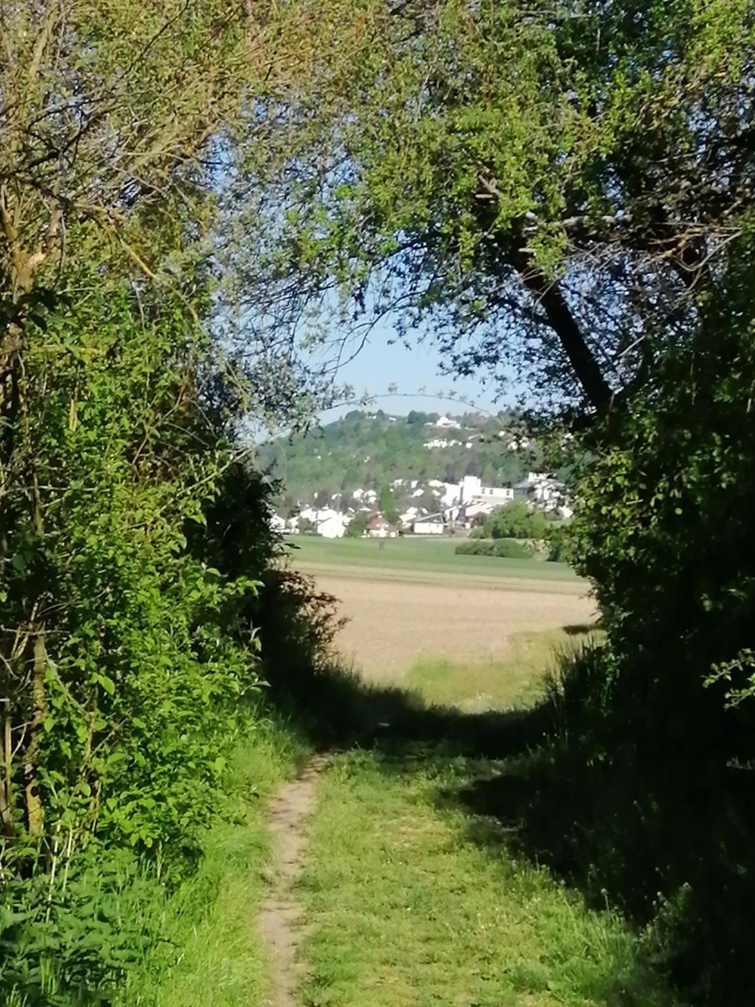 Ferienwohnungen Stark Kelheim Buitenkant foto
